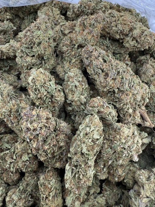 Buy mimosa x orange punch strain – Premium Hybrid Effects. - Image 2