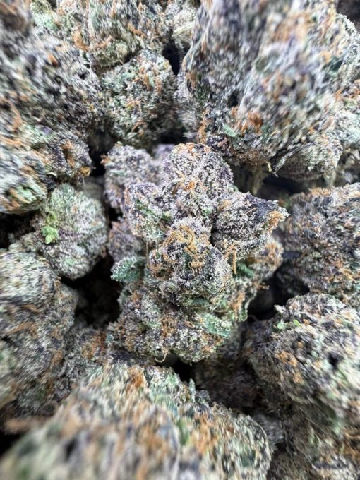 Buy White Cherry Gelato – Premium, Powerful Hybrid Effects - Image 3