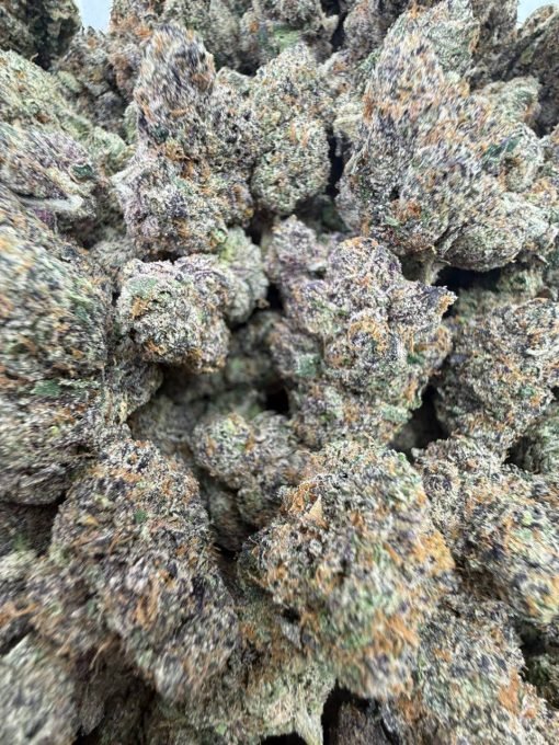 Buy White Cherry Gelato – Premium, Powerful Hybrid Effects - Image 4