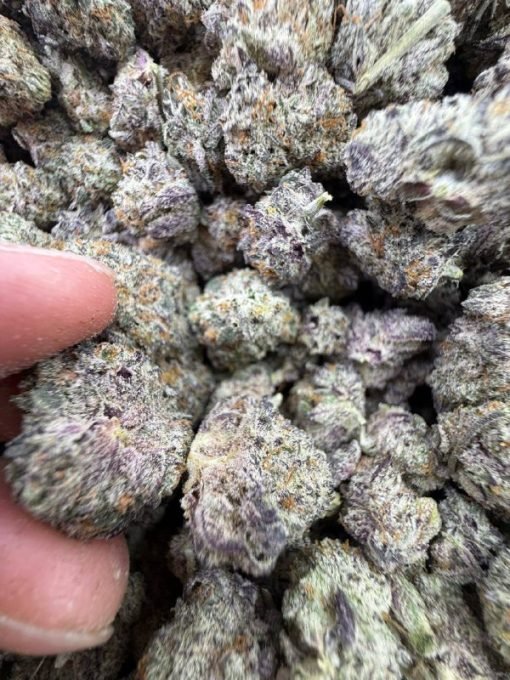Buy Quality Batch White Truffles Strain – Premium Relaxation - Image 4