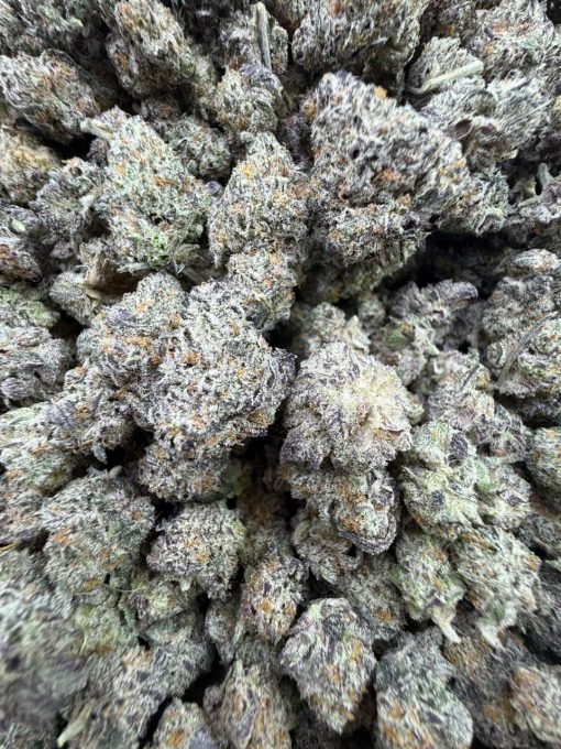 Buy Quality Batch White Truffles Strain – Premium Relaxation - Image 3