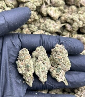 Slapz Strain