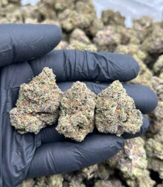 Purple Panties weed