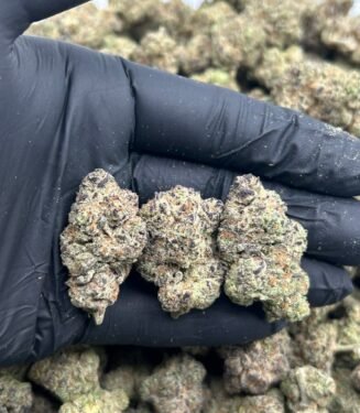 Grape Oreos weed