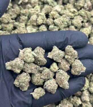Space Cake Strain