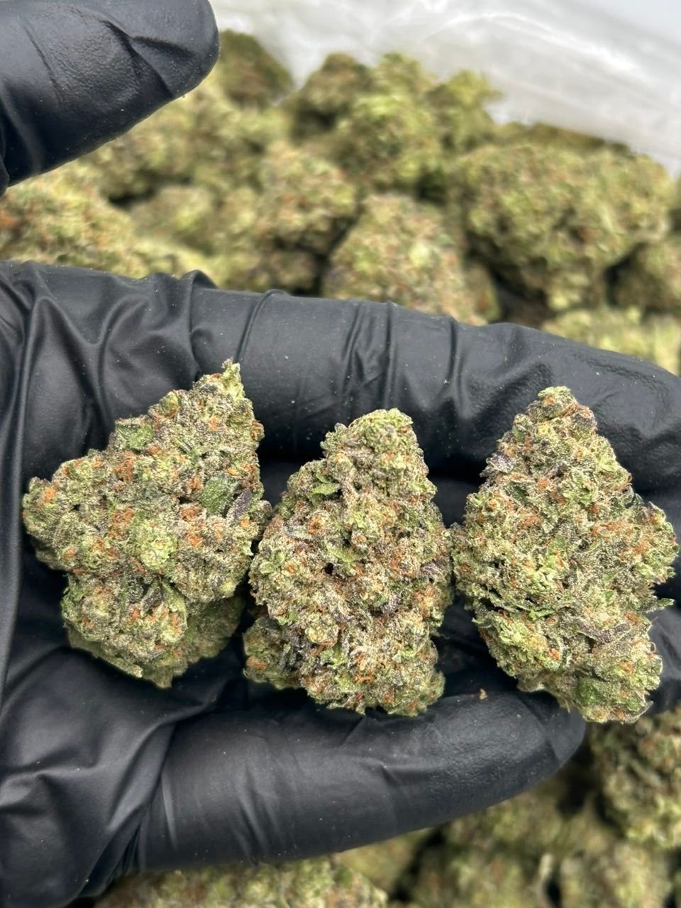 Galaxy Pebbles Weed