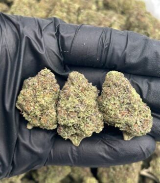 Grape Cake Strain