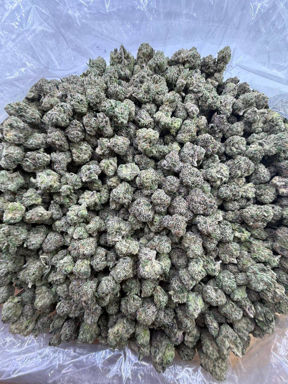Buy #1 Quality Strawberry Push Pop Strain – Hitting Effects