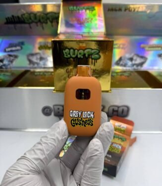 Buy Burtz dispo 2G Disposable | Premium Lasting Vape Device