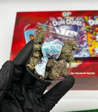 Buy Dum Dumz Exotic Flower 3.5G Bags Online - Snooze Weed