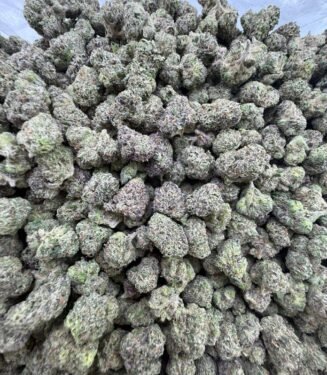 Buy Platinum Cherries Strain – Loud Cherry Terps, Heavy Hit