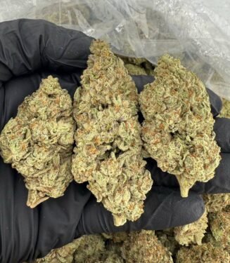Buy rainbow sherbet — Flavorful Hybrid with Premium Effects