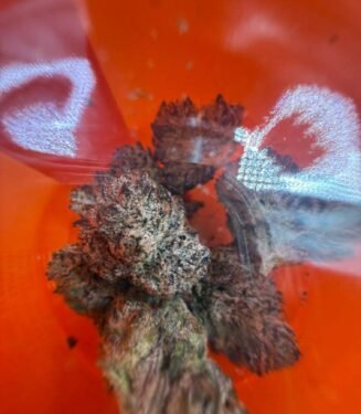 Buy Sherbinski Strain – Premium Flower, Flavor & Effects