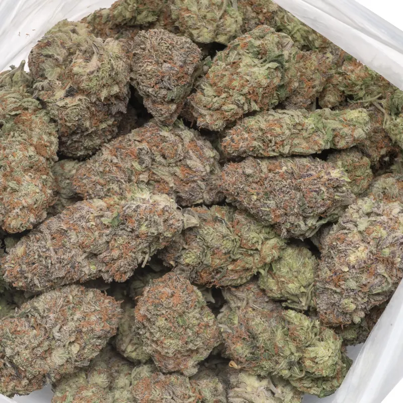 Space Cake Strain for Sale – High-THC Hybrid Cannabis